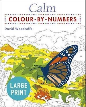 Large Print Calm Colour-by-Numbers - Arcturus Large Print Colour by Numbers Collection - David Woodroffe - Bøger - Arcturus Publishing Ltd - 9781838574178 - 28. september 2020
