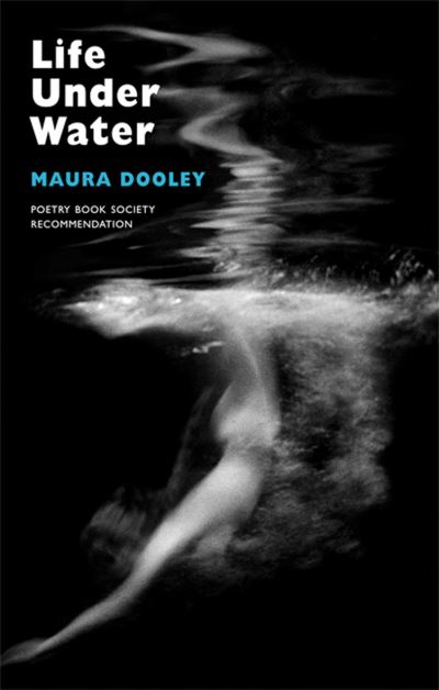 Cover for Maura Dooley · Life Under Water (Paperback Book) (2008)