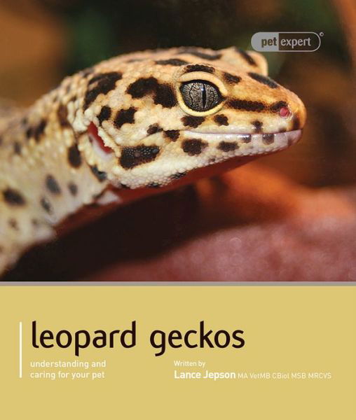 Cover for Lance Jepson · Leopard Gecko - Pet Expert: Understanding and Caring for Your Pet - Pet Expert (Paperback Book) (2011)