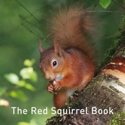 Cover for Jane Russ · Nature Book Series, The: The Squirrel Book (Hardcover bog) (2018)