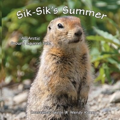Cover for Constance Taylor · Sik-Sik's Summer (Book) (2022)