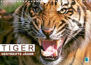 Gestreifte Jäger aus Asien (Wand - Tiger - Books -  - 9783670338178 - 