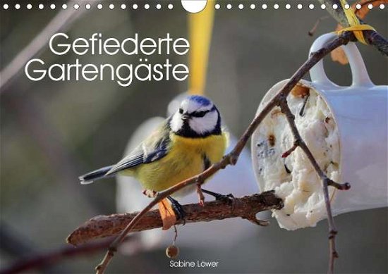 Cover for Löwer · Gefiederte Gartengäste (Wandkalen (Book)