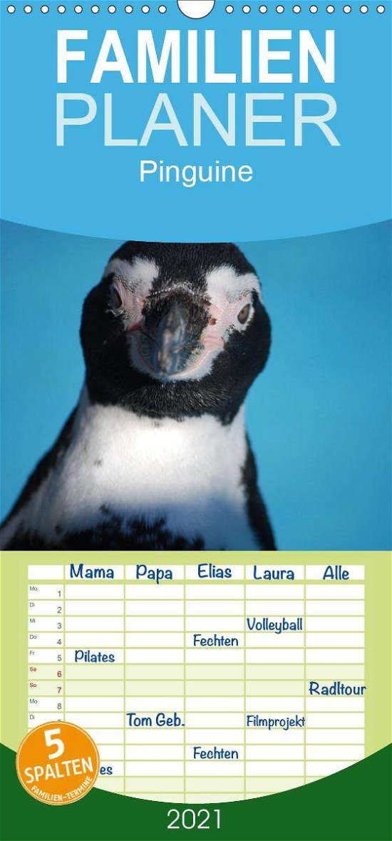Cover for Groos · Pinguine 2021 - Familienplaner ho (Bog)
