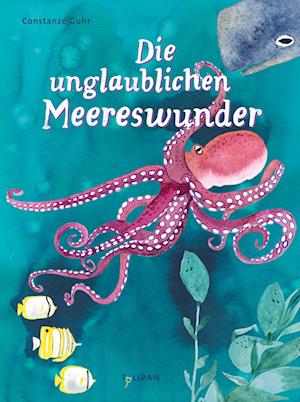 Cover for Constanze Guhr · Die unglaublichen Meereswunder (Book) (2023)