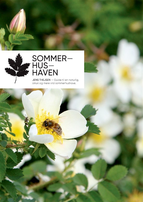 Cover for Jens Thejsen · Sommerhushaven (Inbunden Bok) [1:a utgåva] (2018)