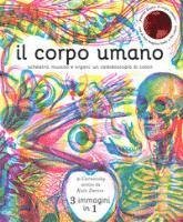 Cover for Kate Davies · Il Corpo Umano. Scheletro, Muscoli E Organi: Un Caleidoscopio Di Colori. Ediz. A Colori (Book)