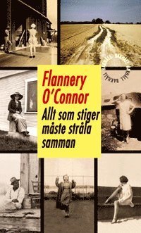 Cover for Flannery O'Connor · Allt som stiger måste stråla samman (Indbundet Bog) (2014)