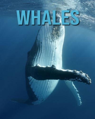 Cover for Dan Anthony · Whales (Paperback Book) (2020)