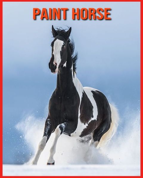 Cover for Linda Davis · Paint Horse (Paperback Book) (2021)