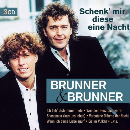 Schenk' Mir Diese Eine Nacht - Brunner & Brunner - Musik - KOCH - 0602537727179 - 27. februar 2014