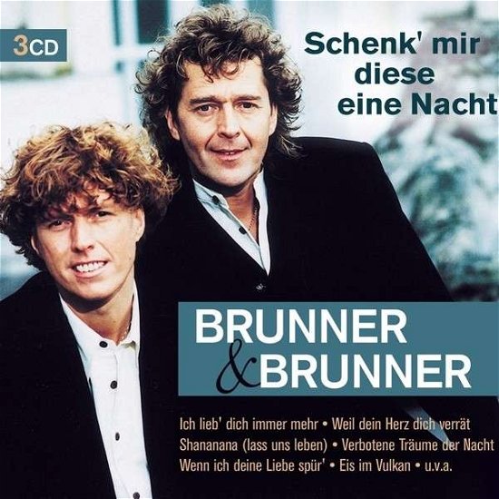 Schenk' Mir Diese Eine Nacht - Brunner & Brunner - Muziek - KOCH - 0602537727179 - 27 februari 2014
