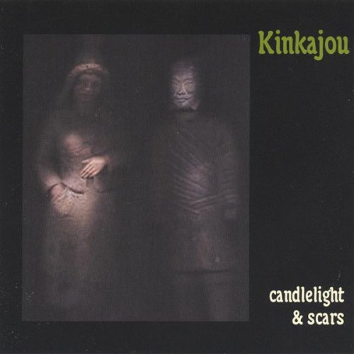 Candlelight & Scars - Kinkajou - Musikk - Happy Accident - 0634479103179 - 15. mars 2005