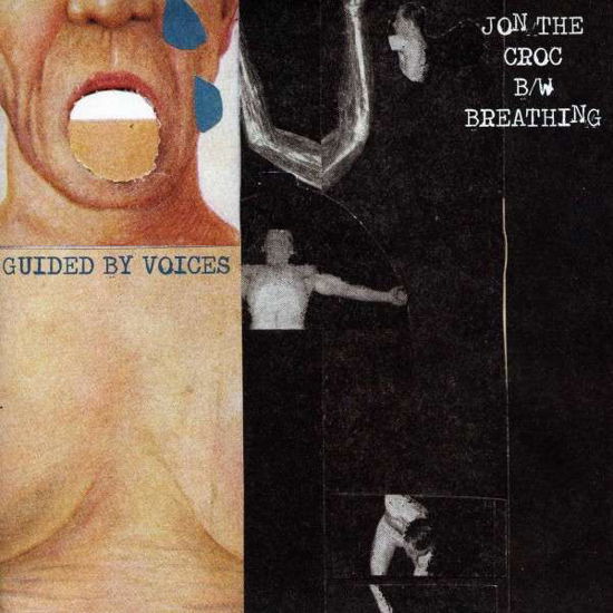 Jon The Croc - Guided By Voices - Musique - GUIDED BY VOICES INC. - 0809236119179 - 19 avril 2012