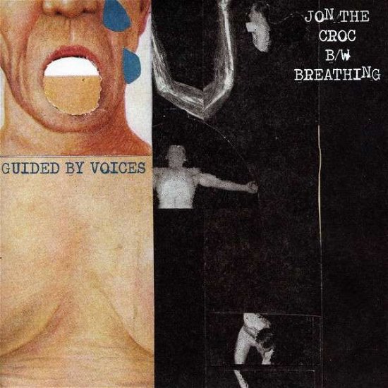 Cover for Guided By Voices · Jon The Croc (LP) (2012)