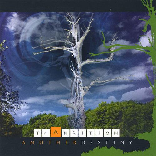 Another Destiny - Transition - Music - CD Baby - 5999524961179 - February 3, 2009