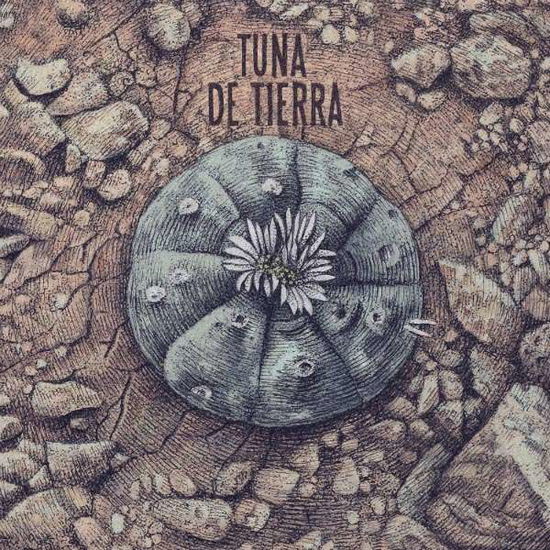 Cover for Tuna De Tierra (CD) (2020)