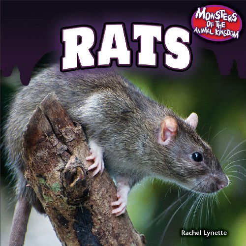 Cover for Rachel Lynette · Rats (Monsters of the Animal Kingdom (Powerkids)) (Paperback Book) (2013)