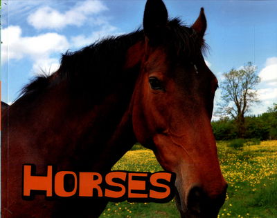 Cover for Farm Animals  Horses (Book) (2017)