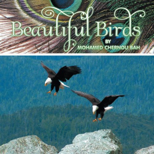 Cover for Mohamed Chernou Bah · Beautiful Birds (Paperback Book) (2014)