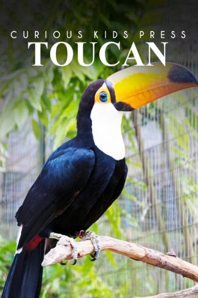 Cover for Curious Kids Press · Toucan - Curious Kids Press: Kids Book About Animals and Wildlife, Children's Books 4-6 (Paperback Book) (2014)