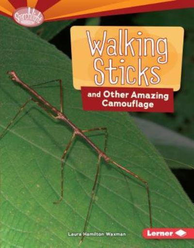 Cover for Laura Hamilton Waxman · Walking Sticks and Other Amazing Camouflage (Book) (2017)