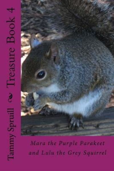 Cover for Tammy Spruill · Treasure Book 4 (Paperback Book) (2015)