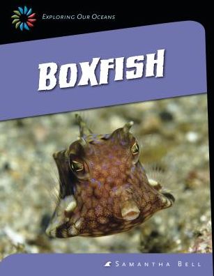 Cover for Samantha Bell · Boxfish (Exploring Our Oceans) (Hardcover Book) (2014)