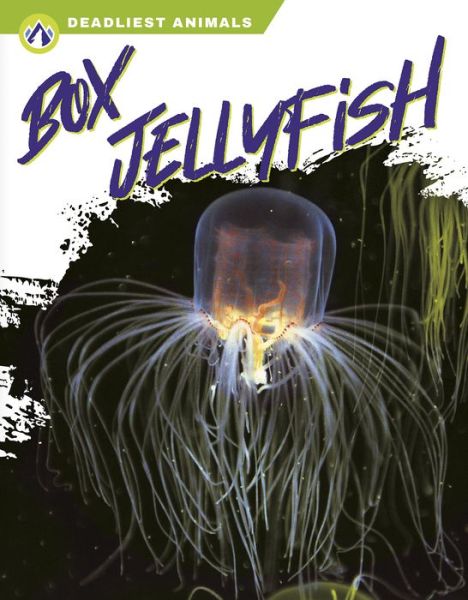 Cover for Connor Stratton · Deadliest Animals: Box Jellyfish (Pocketbok) (2022)