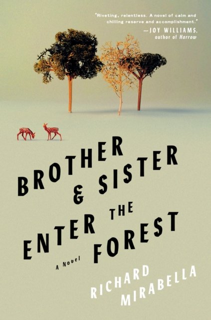 Cover for Richard Mirabella · Brother &amp; Sister Enter the Forest (Paperback Book) (2024)