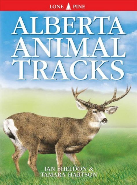 Cover for Ian Sheldon · Alberta Animal Tracks (Paperback Book) (2023)