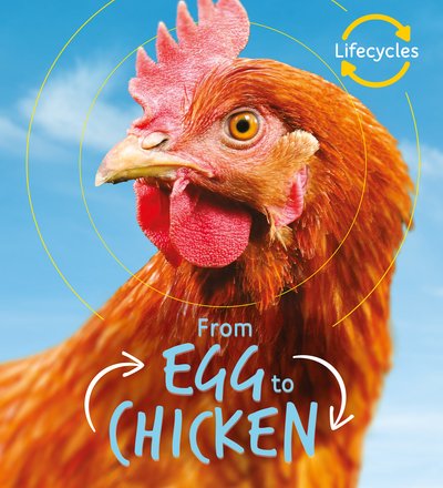 Cover for Camilla De La Bedoyere · Lifecycles: Egg to Chicken - LifeCycles (Paperback Bog) (2019)