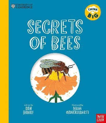 Cover for Ben Hoare · University of Cambridge: Think Big: Secrets of Bees - University of Cambridge: Think Big (Hardcover Book) (2025)