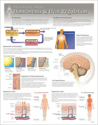 Cover for Scientific Publishing · Homeostatis &amp; Heat Regulation Laminated Poster (Map) (2013)