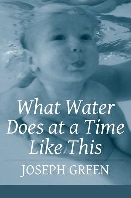 Cover for Green, Joseph, III · What Water Does at a Time Like This (Paperback Book) (2015)