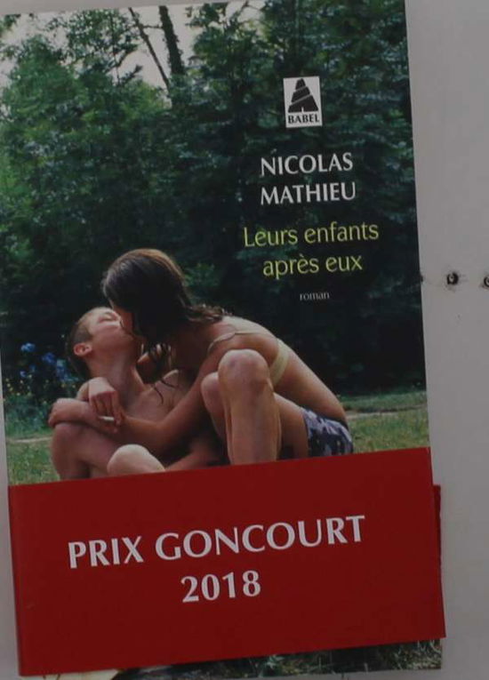 Leurs enfants apres eux - Nicolas Mathieu - Livres - Actes Sud - 9782330139179 - 19 août 2020