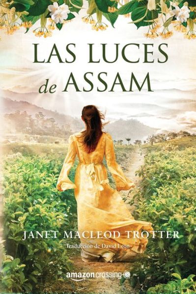 Cover for Janet MacLeod Trotter · Las luces de Assam - Aromas de te (Paperback Book) (2018)