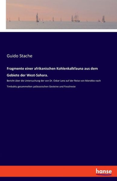 Cover for Stache · Fragmente einer afrikanischen Ko (Book) (2019)