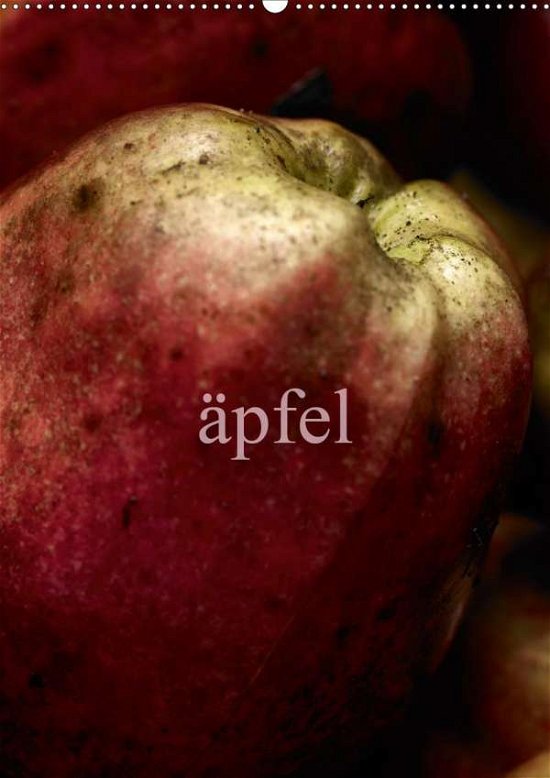 Äpfel (Wandkalender 2020 Di - Morgenstern - Bøger -  - 9783670807179 - 