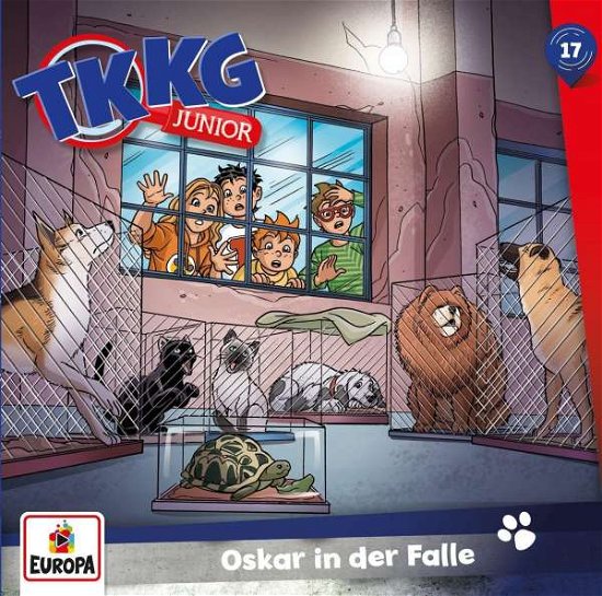 Cover for Tkkg Junior · CD TKKG junior BD17 Oskar in d (CD)