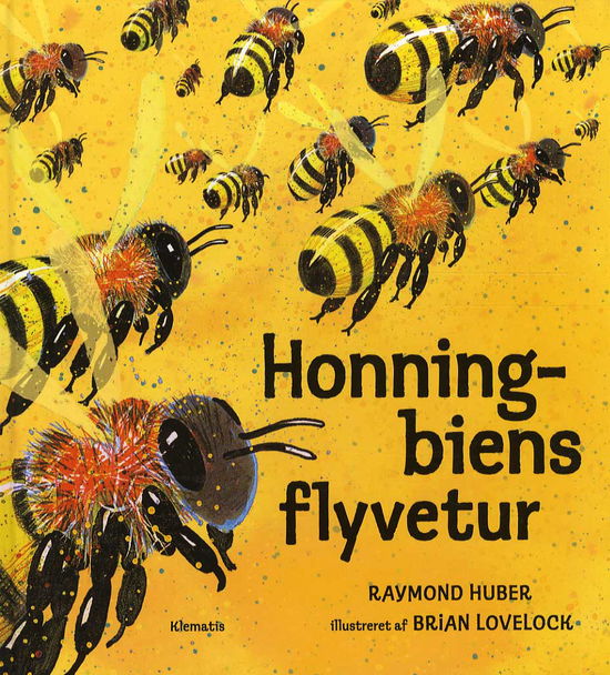 Cover for Raymond Huber · Honningbiens flyvetur (Bound Book) [1. wydanie] (2013)