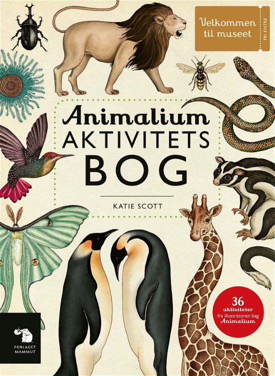 Cover for Katie Scott · Velkommen til museet: Animalium Aktivitetsbog (Hardcover Book) [1.º edición] (2023)