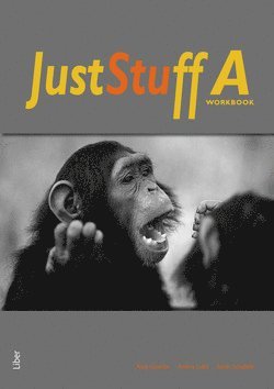 Cover for Sarah Schofield · Just Stuff: Just Stuff A Workbook (Book) (2008)