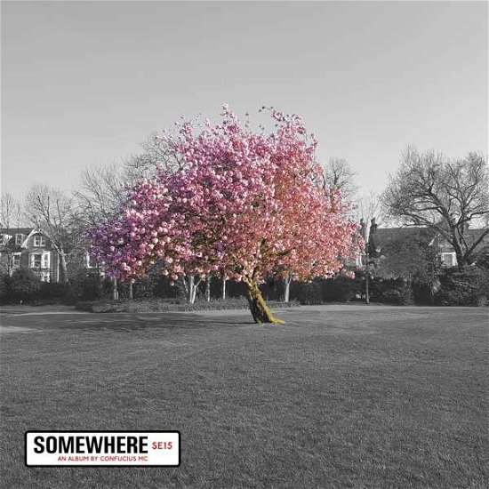 Somewhere - Confucius Mc - Music - Ynr Productions - 0196006016180 - December 17, 2021