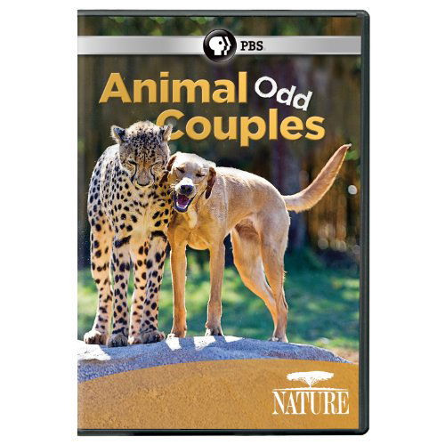 Cover for Nature: Animal Odd Couples (DVD) (2013)