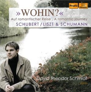 Cover for David Theodor Schmidt · D.T.SCHMIDT: Wohin? (CD) (2011)