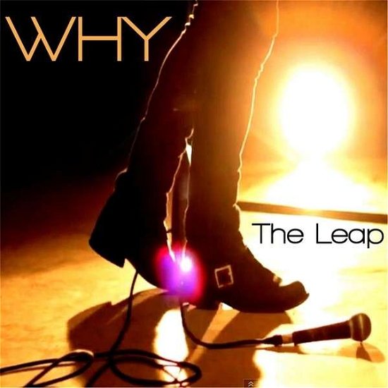 The Leap - Why - Musik - Whymusic - 0888174379180 - 8. november 2013