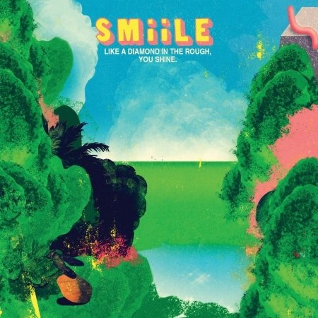 Cover for Smile · Like a Diamond in the Rough You Shine (CD) (2016)