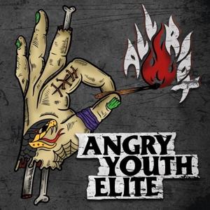 Cover for Angry Youth Elite · All Riot (LP) (2023)