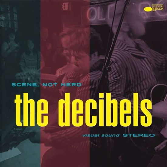 Decibels · Scene Not Herd (LP) (2018)